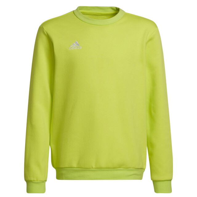 Adidas Kinderen/kinderen sweatshirt UTPP1097_green large