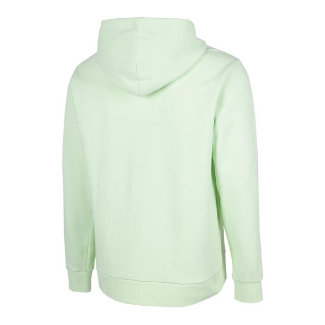 4F Heren h4z22 hoodie UTPP1225_green large