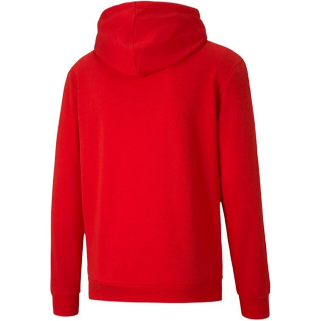 Puma Heren teamgoal 23 hoodie UTPP1084_red large