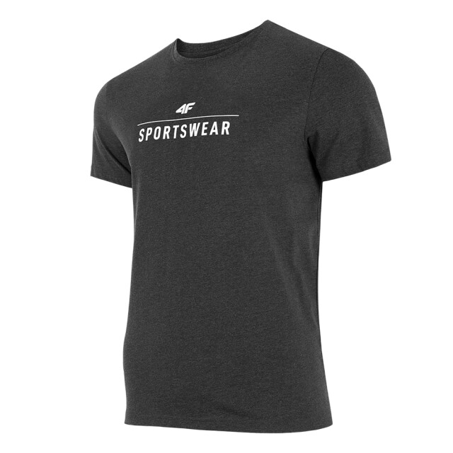 4F Herenlogo t-shirt UTPP108_greysilver large