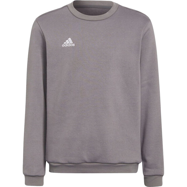 Adidas Kinderen/kinderen sweatshirt UTPP1097_grey large