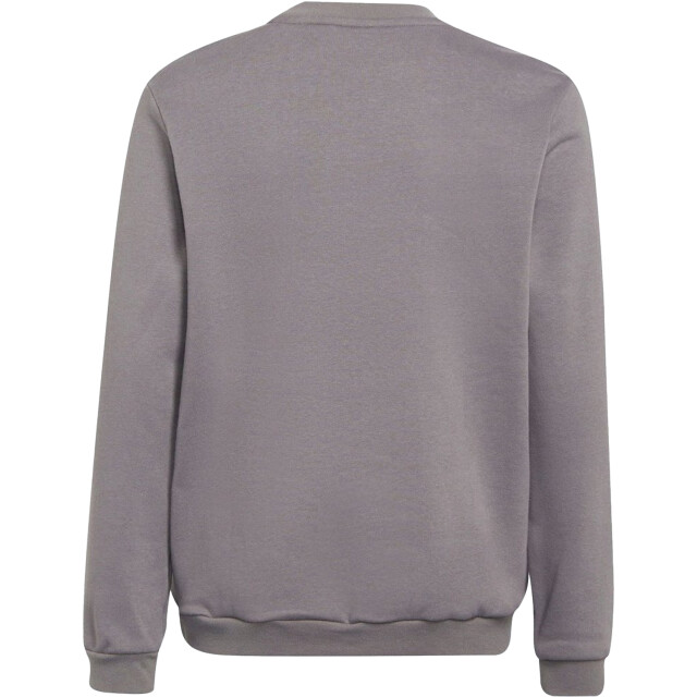 Adidas Kinderen/kinderen sweatshirt UTPP1097_grey large