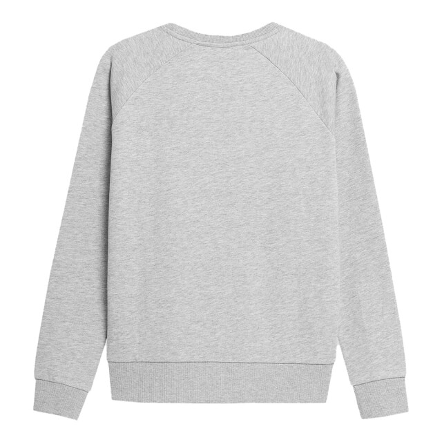 4F Dames logo sweatshirt UTPP112_greysilver large