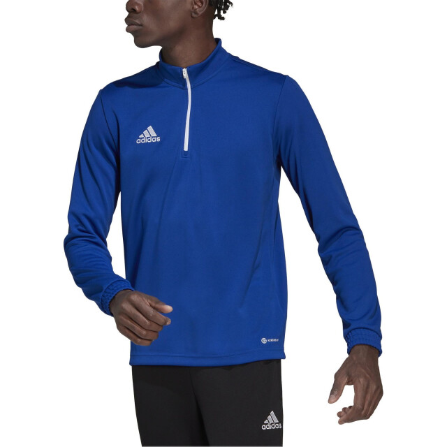 Adidas Heren entrada 22 trainings top UTPP973_blue large