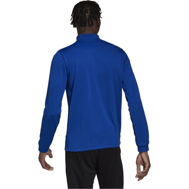 Adidas Heren entrada 22 trainings top UTPP973_blue large