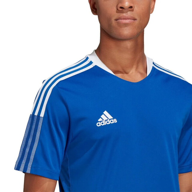 Adidas Heren tiro 21 trainingsshirt UTPP833_blue large