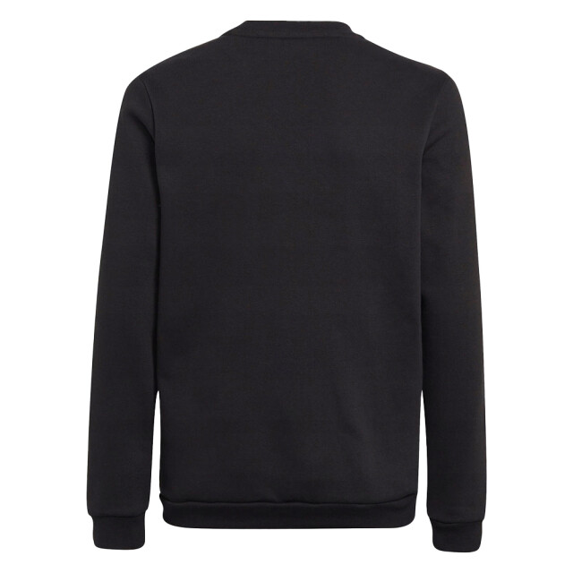 Adidas Kinderen/kinderen entrada 22 sweatshirt UTPP794_black large