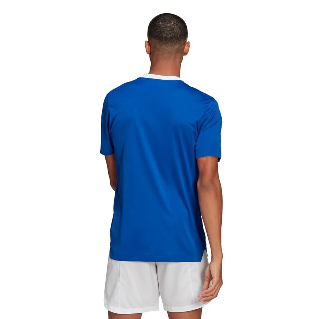 Adidas Heren tiro 21 trainingsshirt UTPP833_blue large
