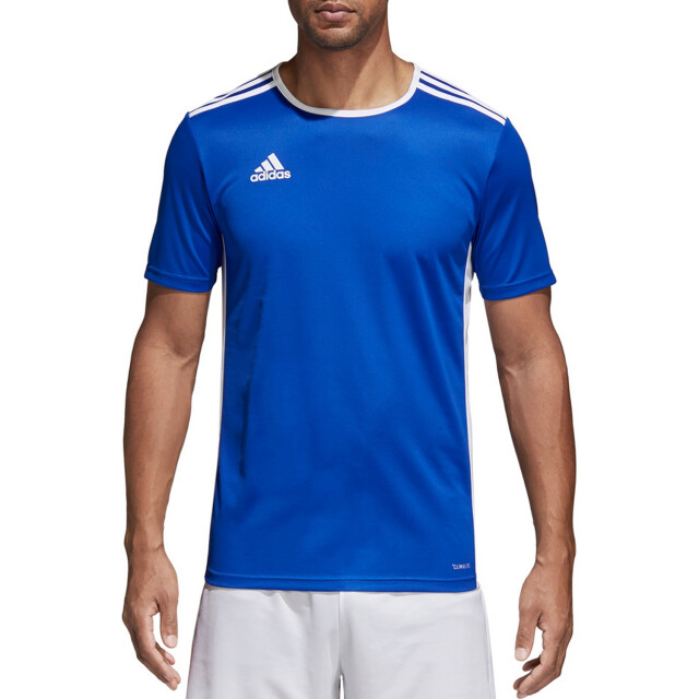 Adidas Heren entrada 18 voetbal jersey UTPP723_blue large