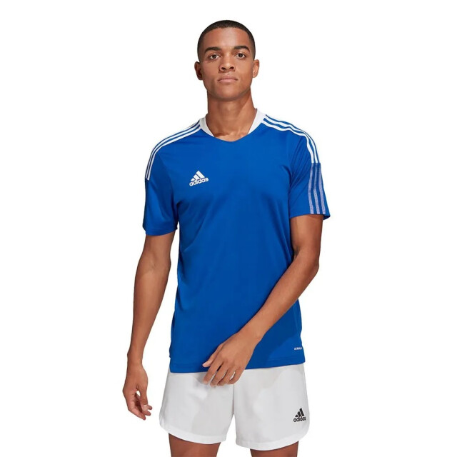 Adidas Heren tiro 21 trainingsshirt UTPP833_blue large