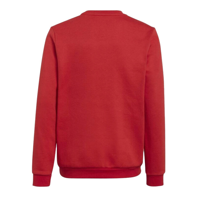 Adidas Kinderen/kinderen entrada 22 sweatshirt UTPP794_red large