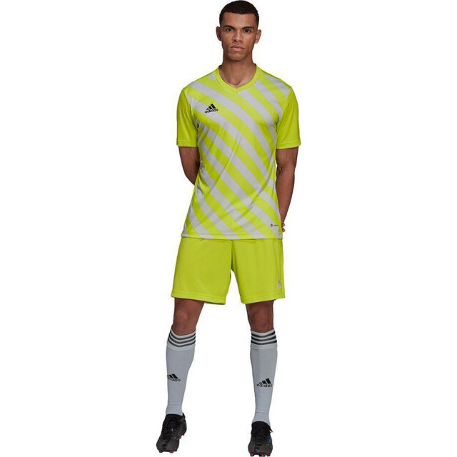 Adidas Heren entrada 22 grafische trui UTPP741_blackyellow large