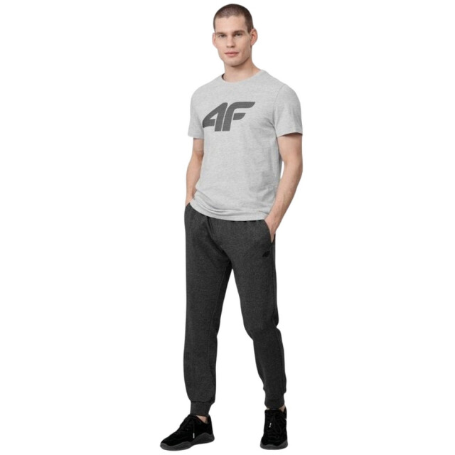 4F Heren h4z22 logo t-shirt UTPP756_grey large