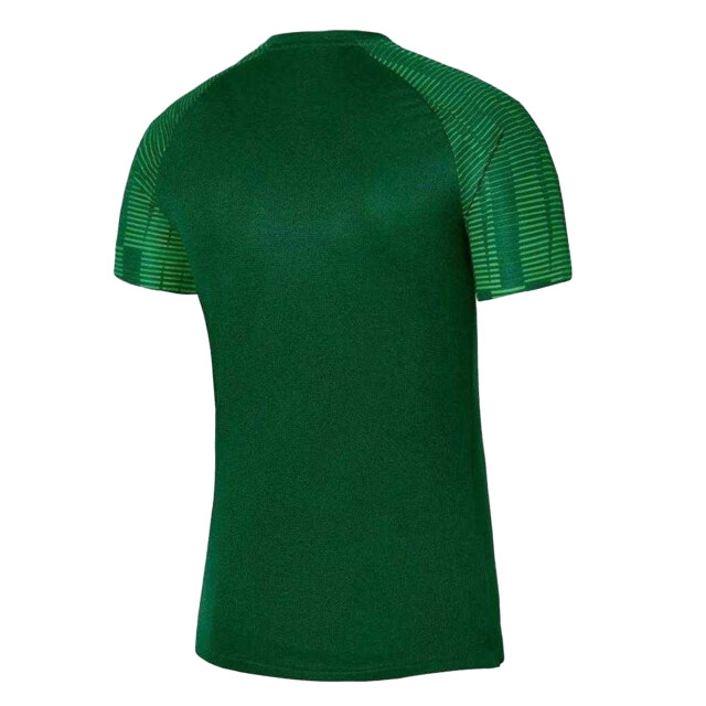 Nike Heren academy dri-fit jersey UTPP6414_green large