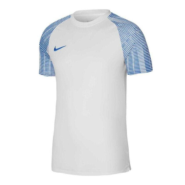 Nike Heren academy dri-fit jersey UTPP6414_whiteblue large