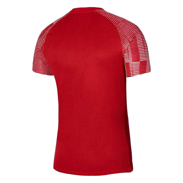 Nike Heren academy dri-fit jersey UTPP6414_red large