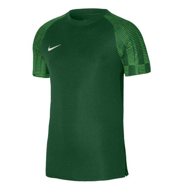 Nike Heren academy dri-fit jersey UTPP6414_green large