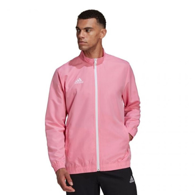 Adidas Heren entrada 22 presentatiejas UTPP629_pink large