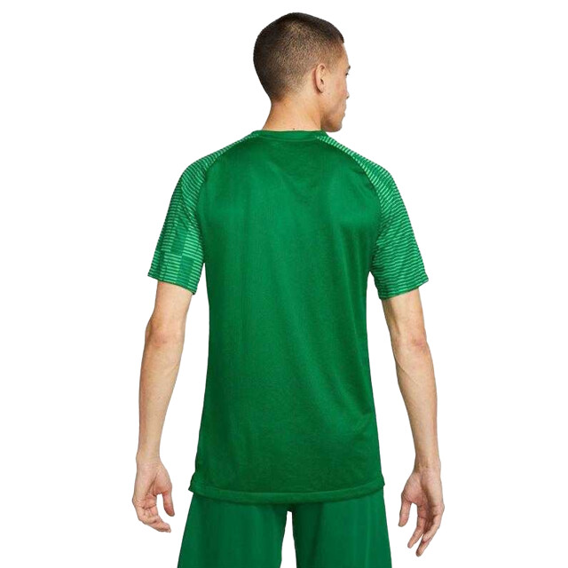 Nike Heren academy dri-fit jersey UTPP6414_green large