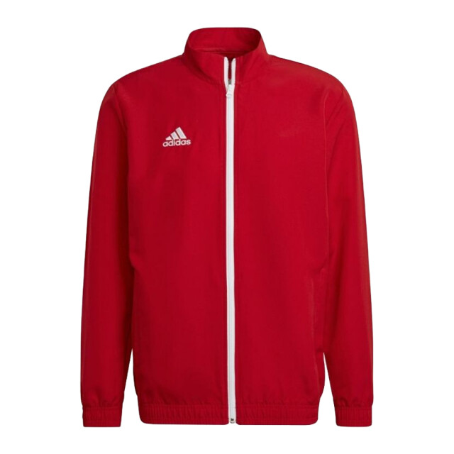 Adidas Heren entrada 22 presentatiejas UTPP629_red large