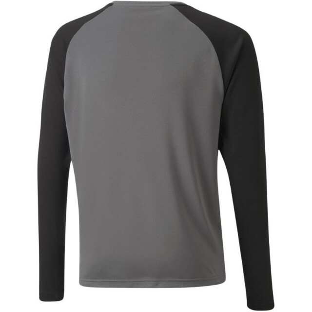 Puma Teampacer keeperstrui voor kinderen/kinderen UTPP5523_grey large