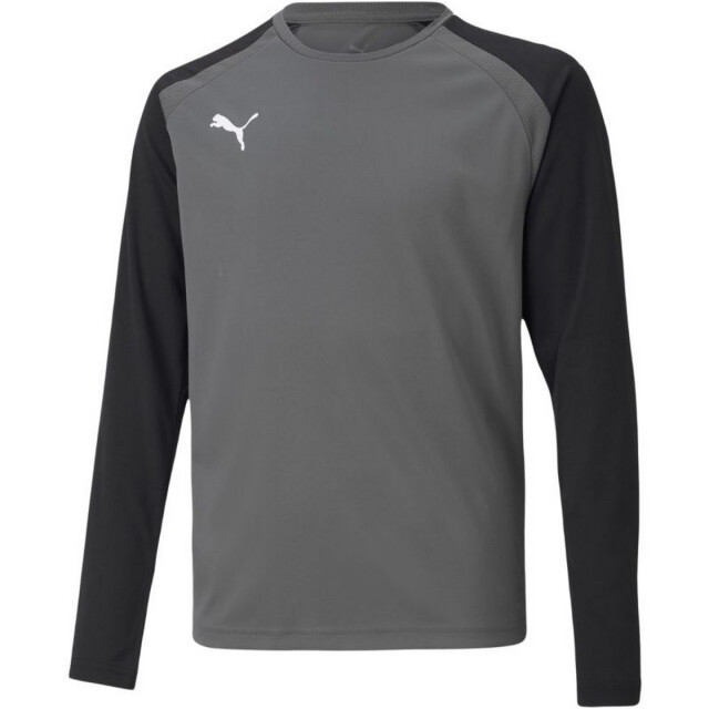 Puma Teampacer keeperstrui voor kinderen/kinderen UTPP5523_grey large