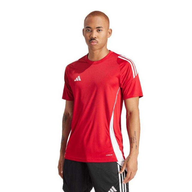 Adidas Heren tiro 24 trui UTPP5510_red large