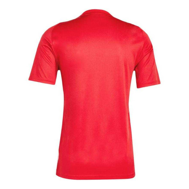 Adidas Heren tiro 24 trui UTPP5510_red large