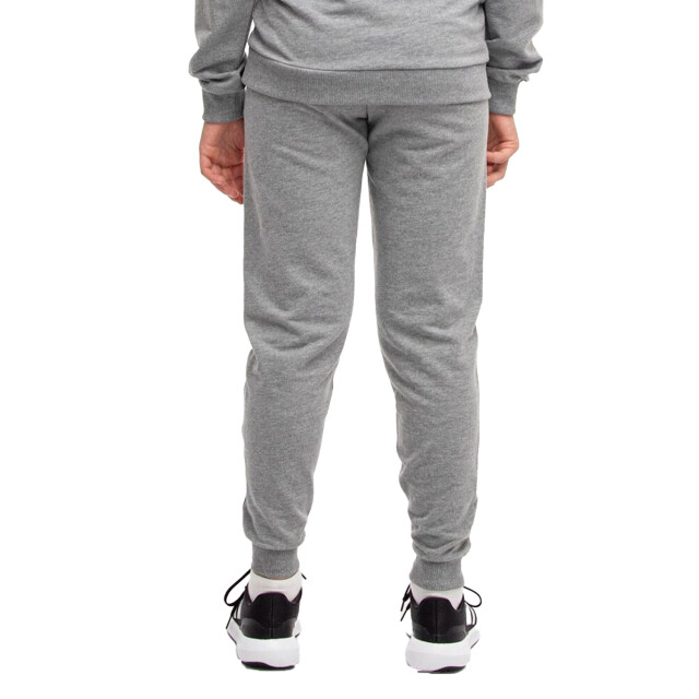 Puma Joggingbroek voor kinderen/kinderen team goal UTPP5167_grey large