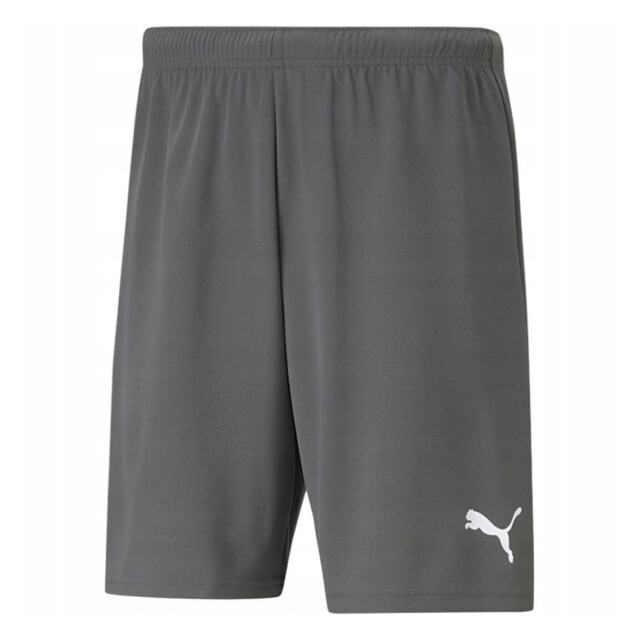 Puma Heren teamrise korte broek UTPP5269_greysilver large