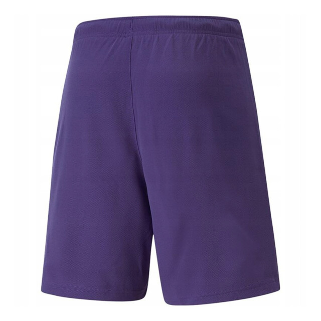 Puma Heren teamrise korte broek UTPP5269_violet large