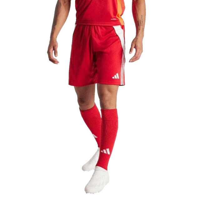 Adidas Heren tiro 24 korte broek UTPP5259_red large