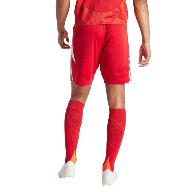 Adidas Heren tiro 24 korte broek UTPP5259_red large