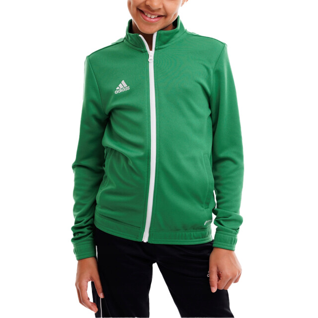 Adidas Kinder/kinder entrada 22 track jacket UTPP5171_green large