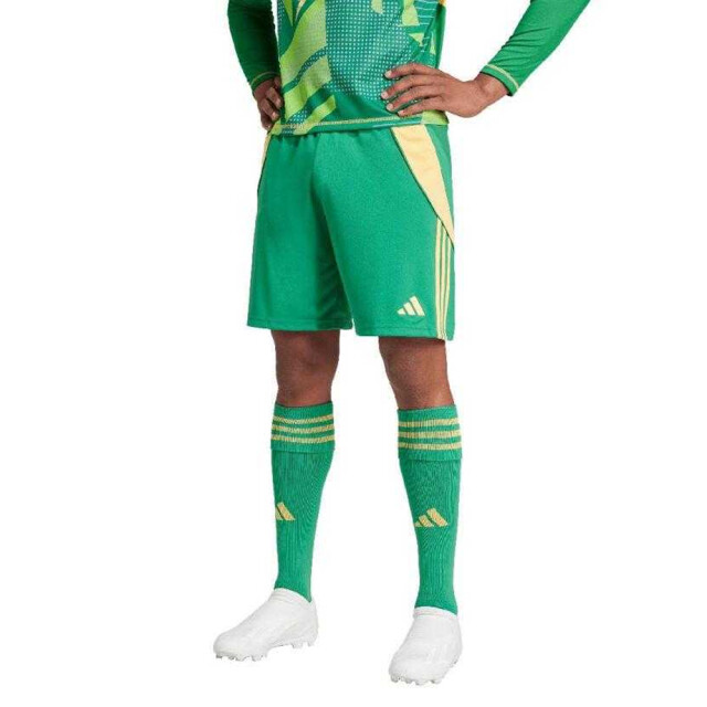 Adidas Heren tiro 24 korte broek UTPP5259_green large