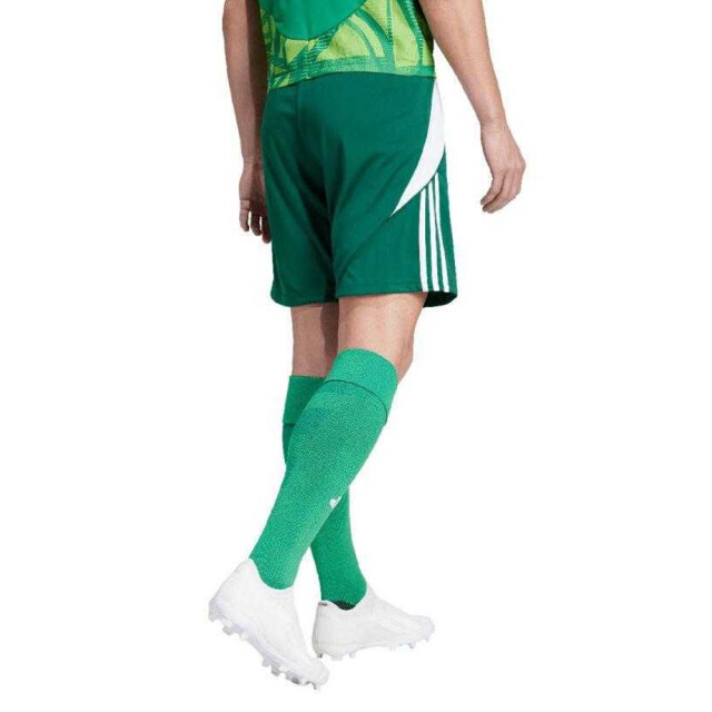 Adidas Heren tiro 24 korte broek UTPP5259_greenwhite large