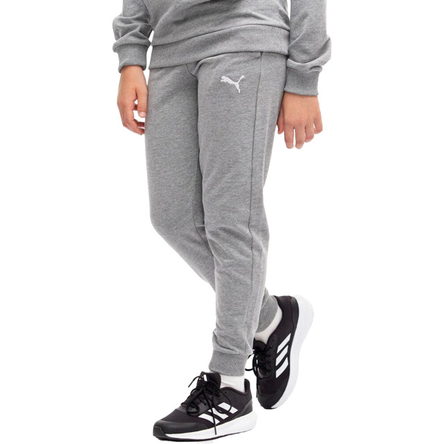 Puma Joggingbroek voor kinderen/kinderen team goal UTPP5167_grey large