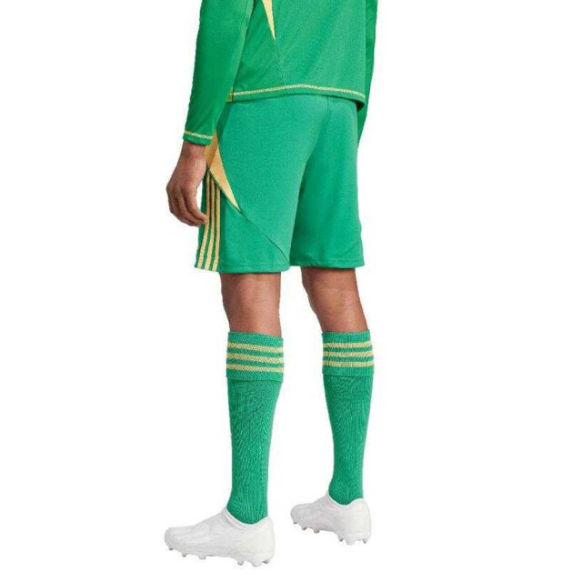 Adidas Heren tiro 24 korte broek UTPP5259_green large