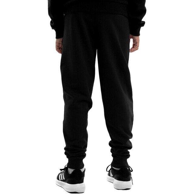 Puma Joggingbroek voor kinderen/kinderen team goal UTPP5167_black large