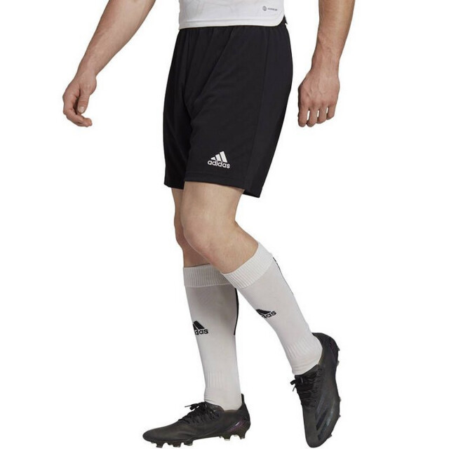 Adidas Heren entrada 22 korte broek UTPP5082_black large
