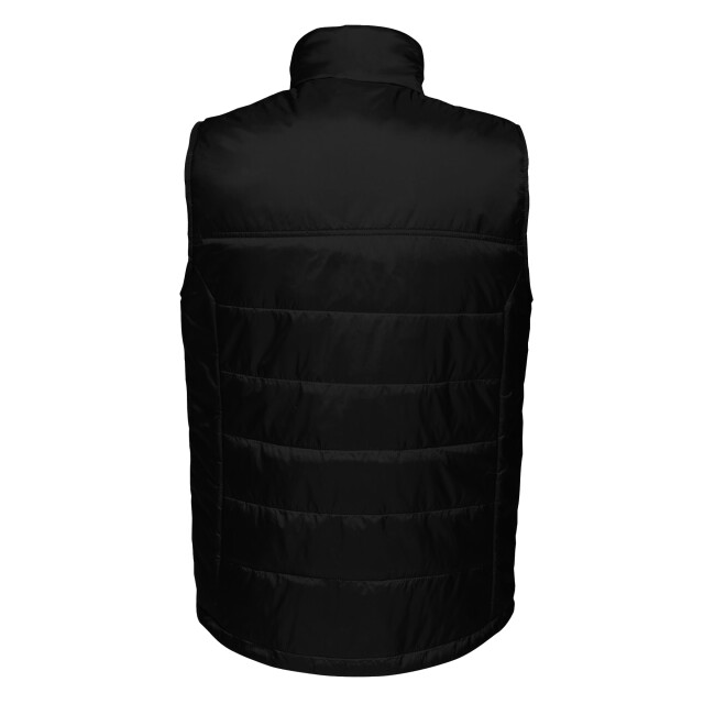 Regatta Geïsoleerde bodywarmer voor heren UTRG3562_black large