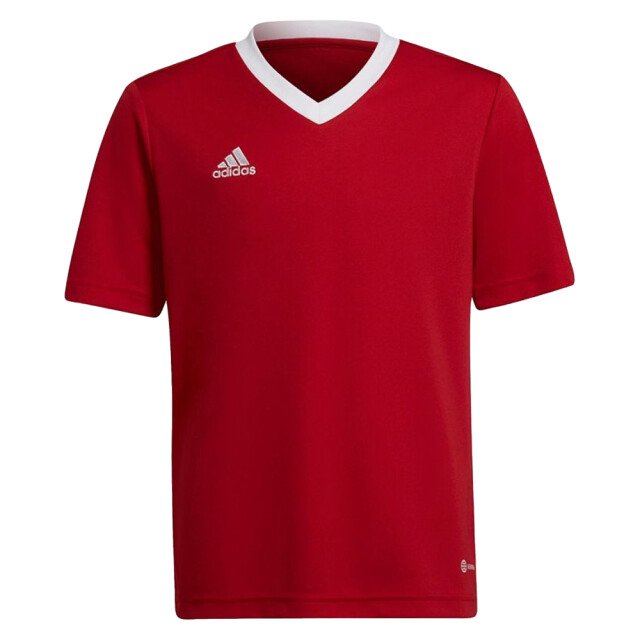 Adidas Kinder/kids entrada 22 trainings jersey UTPP2033_red large