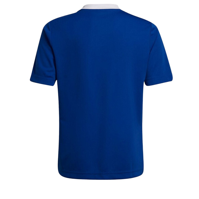 Adidas Kinder/kids entrada 22 trainings jersey UTPP2033_blue large