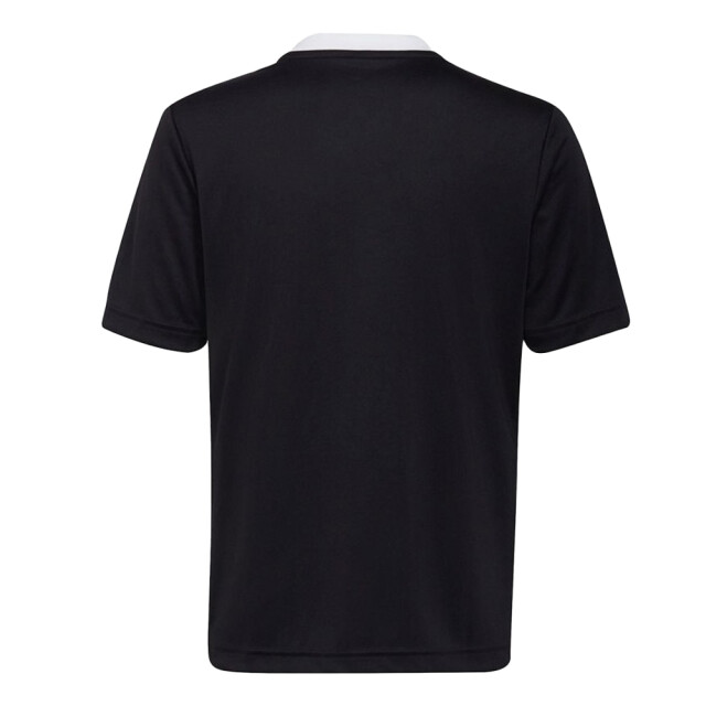 Adidas Kinder/kids entrada 22 trainings jersey UTPP2033_black large