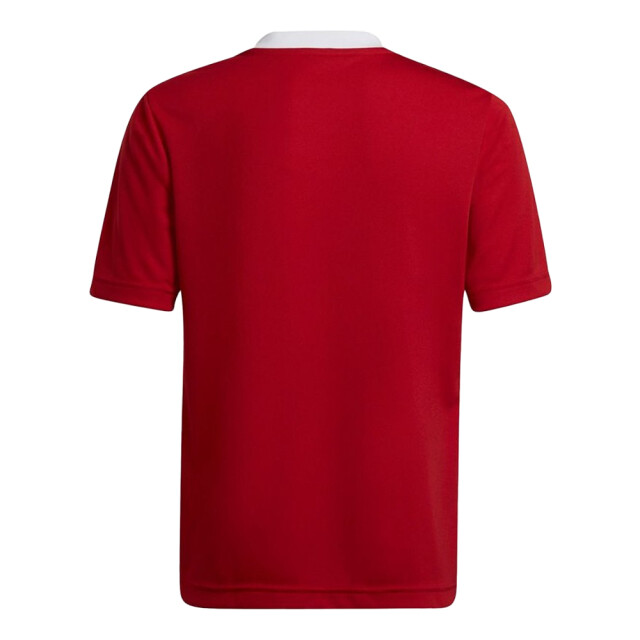 Adidas Kinder/kids entrada 22 trainings jersey UTPP2033_red large