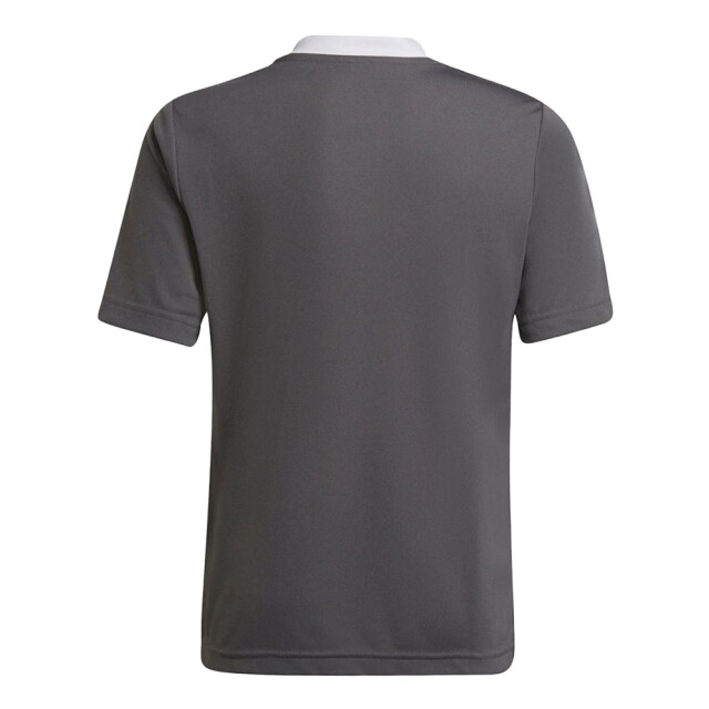 Adidas Kinder/kids entrada 22 trainings jersey UTPP2033_greysilver large
