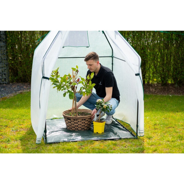 Westmann Plant overwinteringstent chili 12x120x180 cm 3048324 large