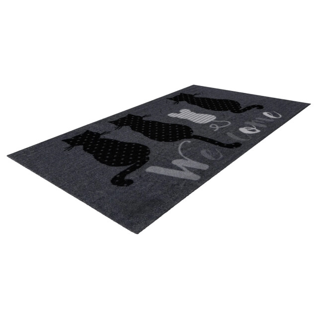 Muratap Wasbare deurmat binnen – welcome – anti-slip & absorberend, voor hal of entree - 3241402 large