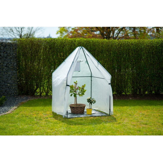 Westmann Plant overwinteringstent chili 12x120x180 cm 3048324 large