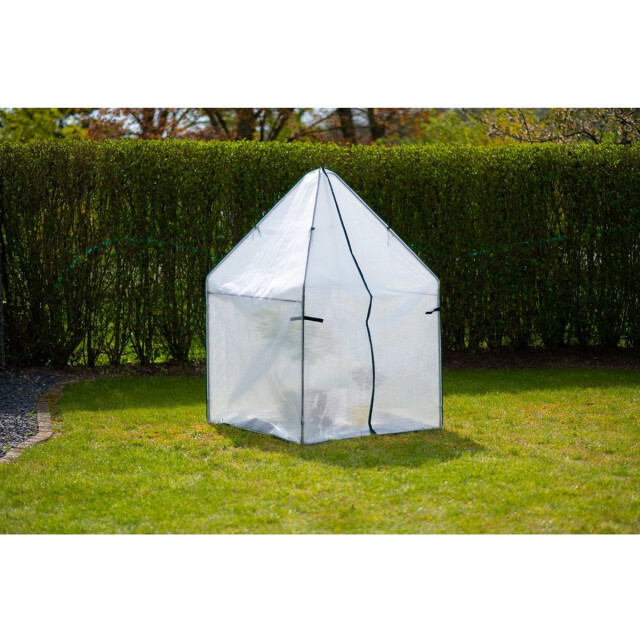 Westmann Plant overwinteringstent chili 12x120x180 cm 3048324 large